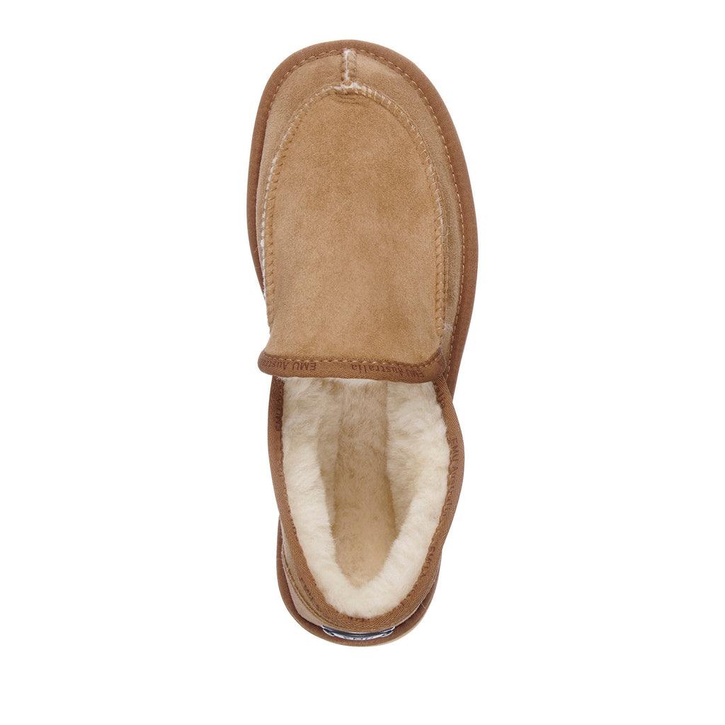 Platinum Hume - Chestnut