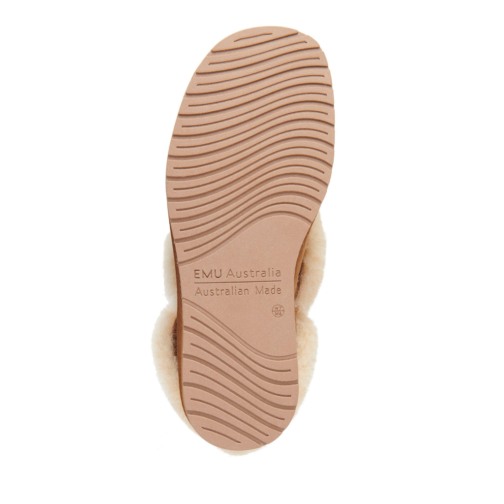 Platinum Mintaro - Chestnut